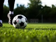 萨沃納续约,成功,梦想一线队,澳客体育,澳客体育比分,澳客体育赛事,澳客体育分析,澳客体育预测,澳客体育数据